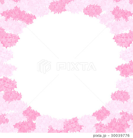 花 イラスト フレーム アジサイ ピンク 正方形のイラスト素材
