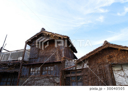空き家問題 ツタの絡まる二階建て 空き家問題 ツタの絡まる二階建て 30040505