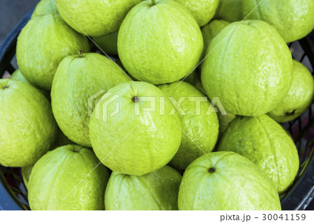 Guava selling at market 30041159