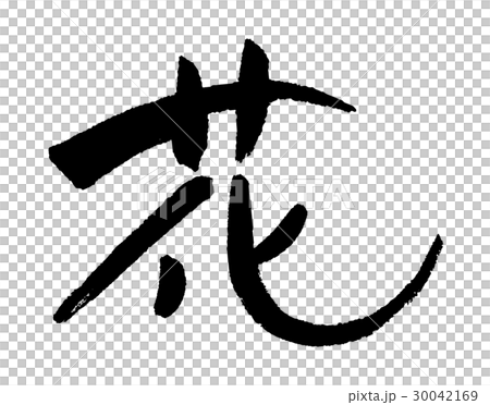 花① 花① 30042169