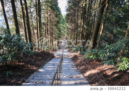 日本一の石段(釈迦院御坂遊歩道) 日本一の石段(釈迦院御坂遊歩道) 30042222