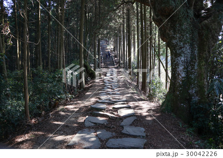 日本一の石段（釈迦院御坂遊歩道） 30042226