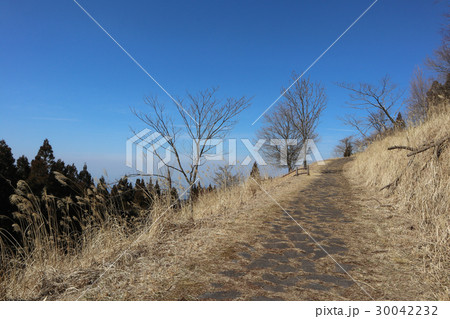 日本一の石段(釈迦院御坂遊歩道) 日本一の石段(釈迦院御坂遊歩道) 30042232