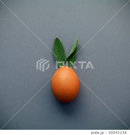 Easter bunny ears made from sage leaves . 30042236