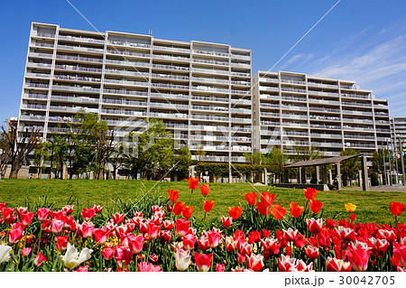 春のマンション団地 公園 30042705