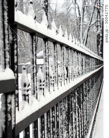 winter fence 30042770