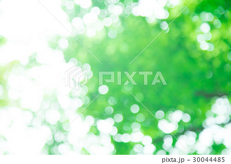 新緑イメージ 合成用背景素材 緑の背景 植物 春 初夏 木漏れ日 緑とコピースペース 新緑イメージ 合成用背景素材 緑の背景 植物 春 初夏 木漏れ日 緑とコピースペース 30044485