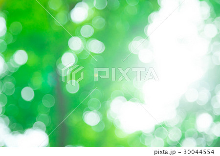 新緑イメージ　合成用背景素材　緑の背景　植物　春　初夏　木漏れ日　緑とコピースペース 30044554