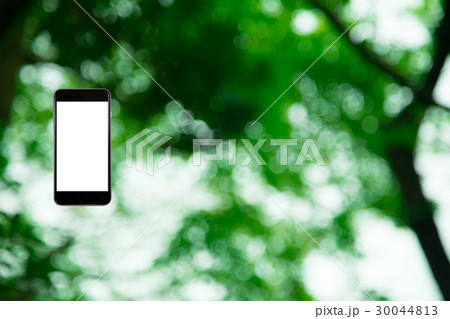 はめこみ　スマホ新緑イメージ　合成用背景素材　緑の背景　植物　春　初夏　木漏れ日　緑とコピースペース 30044813