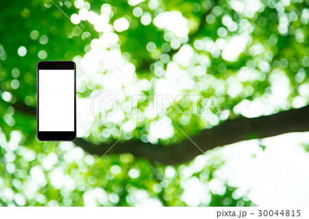 はめこみ スマホ新緑イメージ 合成用背景素材 緑の背景 植物 春 初夏 木漏れ日 緑とコピースペース はめこみ スマホ新緑イメージ 合成用背景素材 緑の背景 植物 春 初夏 木漏れ日 緑とコピースペース 30044815