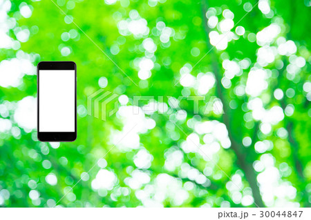 はめこみ スマホ新緑イメージ 合成用背景素材 緑の背景 植物 春 初夏 木漏れ日 緑とコピースペース はめこみ スマホ新緑イメージ 合成用背景素材 緑の背景 植物 春 初夏 木漏れ日 緑とコピースペース 30044847