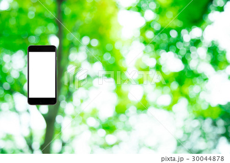 はめこみ　スマホ新緑イメージ　合成用背景素材　緑の背景　植物　春　初夏　木漏れ日　緑とコピースペース 30044878