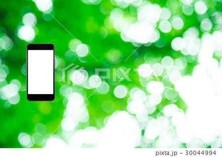 はめこみ スマホ新緑イメージ 合成用背景素材 緑の背景 植物 春 初夏 木漏れ日 緑とコピースペース はめこみ スマホ新緑イメージ 合成用背景素材 緑の背景 植物 春 初夏 木漏れ日 緑とコピースペース 30044994