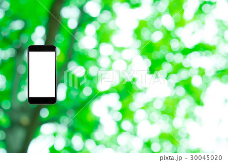 はめこみ スマホ新緑イメージ 合成用背景素材 緑の背景 植物 春 初夏 木漏れ日 緑とコピースペース はめこみ スマホ新緑イメージ 合成用背景素材 緑の背景 植物 春 初夏 木漏れ日 緑とコピースペース 30045020