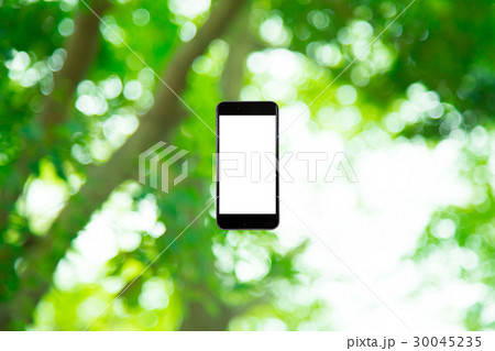 はめこみ　スマホ新緑イメージ　合成用背景素材　緑の背景　植物　春　初夏　木漏れ日　緑とコピースペース 30045235