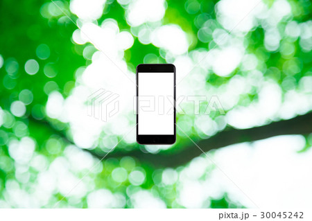 はめこみ スマホ新緑イメージ 合成用背景素材 緑の背景 植物 春 初夏 木漏れ日 緑とコピースペース はめこみ スマホ新緑イメージ 合成用背景素材 緑の背景 植物 春 初夏 木漏れ日 緑とコピースペース 30045242