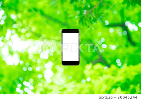 はめこみ　スマホ新緑イメージ　合成用背景素材　緑の背景　植物　春　初夏　木漏れ日　緑とコピースペース 30045244