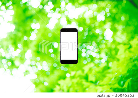 はめこみ スマホ新緑イメージ 合成用背景素材 緑の背景 植物 春 初夏 木漏れ日 緑とコピースペース はめこみ スマホ新緑イメージ 合成用背景素材 緑の背景 植物 春 初夏 木漏れ日 緑とコピースペース 30045252