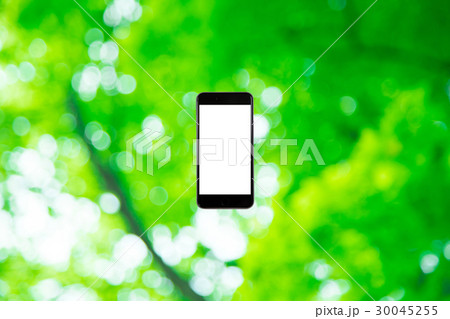 はめこみ スマホ新緑イメージ 合成用背景素材 緑の背景 植物 春 初夏 木漏れ日 緑とコピースペース はめこみ スマホ新緑イメージ 合成用背景素材 緑の背景 植物 春 初夏 木漏れ日 緑とコピースペース 30045255