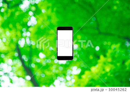 はめこみ スマホ新緑イメージ 合成用背景素材 緑の背景 植物 春 初夏 木漏れ日 緑とコピースペース はめこみ スマホ新緑イメージ 合成用背景素材 緑の背景 植物 春 初夏 木漏れ日 緑とコピースペース 30045262