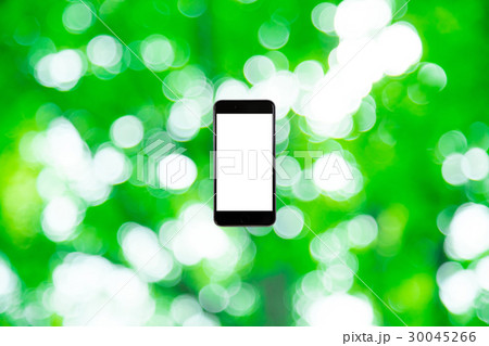 はめこみ スマホ新緑イメージ 合成用背景素材 緑の背景 植物 春 初夏 木漏れ日 緑とコピースペース はめこみ スマホ新緑イメージ 合成用背景素材 緑の背景 植物 春 初夏 木漏れ日 緑とコピースペース 30045266