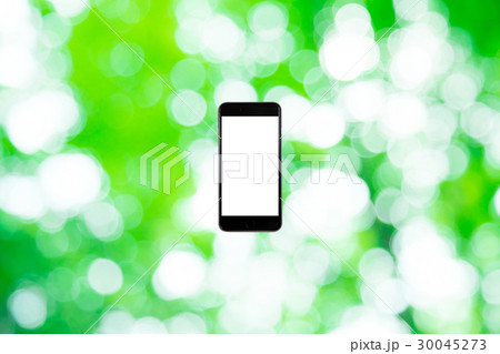 はめこみ スマホ新緑イメージ 合成用背景素材 緑の背景 植物 春 初夏 木漏れ日 緑とコピースペース はめこみ スマホ新緑イメージ 合成用背景素材 緑の背景 植物 春 初夏 木漏れ日 緑とコピースペース 30045273