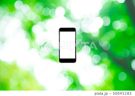 はめこみ スマホ新緑イメージ 合成用背景素材 緑の背景 植物 春 初夏 木漏れ日 緑とコピースペース はめこみ スマホ新緑イメージ 合成用背景素材 緑の背景 植物 春 初夏 木漏れ日 緑とコピースペース 30045283