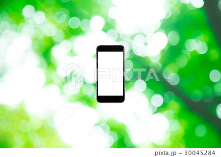 はめこみ　スマホ新緑イメージ　合成用背景素材　緑の背景　植物　春　初夏　木漏れ日　緑とコピースペース 30045284