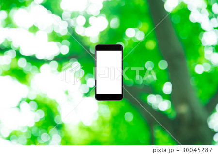 はめこみ　スマホ新緑イメージ　合成用背景素材　緑の背景　植物　春　初夏　木漏れ日　緑とコピースペース 30045287