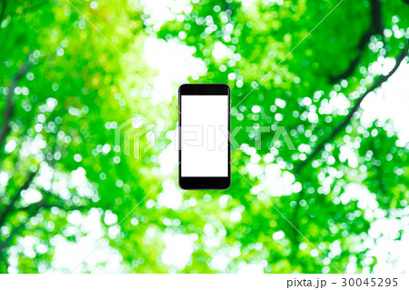 はめこみ スマホ新緑イメージ 合成用背景素材 緑の背景 植物 春 初夏 木漏れ日 緑とコピースペース はめこみ スマホ新緑イメージ 合成用背景素材 緑の背景 植物 春 初夏 木漏れ日 緑とコピースペース 30045295