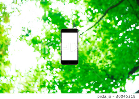 はめこみ　スマホ新緑イメージ　合成用背景素材　緑の背景　植物　春　初夏　木漏れ日　緑とコピースペース 30045319