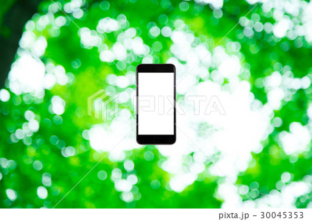 スマホと新緑イメージ 合成用背景素材 緑の背景 植物 春 初夏 木漏れ日 緑とコピースペース スマホと新緑イメージ 合成用背景素材 緑の背景 植物 春 初夏 木漏れ日 緑とコピースペース 30045353