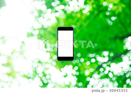 スマホと新緑イメージ　合成用背景素材　緑の背景　植物　春　初夏　木漏れ日　緑とコピースペース 30045355