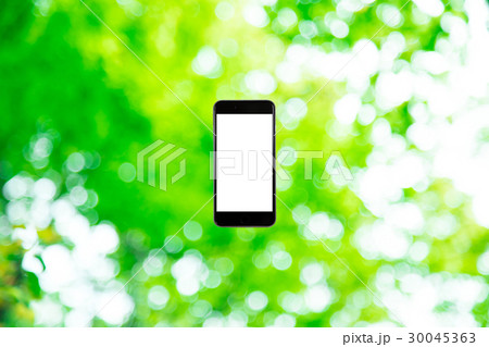 スマホと新緑イメージ　合成用背景素材　緑の背景　植物　春　初夏　木漏れ日　緑とコピースペース 30045363
