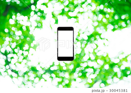 スマホと新緑イメージ 合成用背景素材 緑の背景 植物 春 初夏 木漏れ日 緑とコピースペース スマホと新緑イメージ 合成用背景素材 緑の背景 植物 春 初夏 木漏れ日 緑とコピースペース 30045381