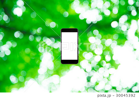 スマホと新緑イメージ 合成用背景素材 緑の背景 植物 春 初夏 木漏れ日 緑とコピースペース スマホと新緑イメージ 合成用背景素材 緑の背景 植物 春 初夏 木漏れ日 緑とコピースペース 30045392