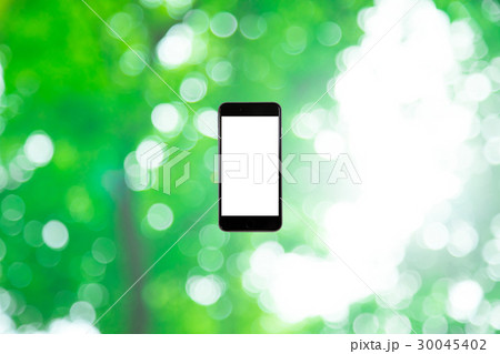 スマホと新緑イメージ 合成用背景素材 緑の背景 植物 春 初夏 木漏れ日 緑とコピースペース スマホと新緑イメージ 合成用背景素材 緑の背景 植物 春 初夏 木漏れ日 緑とコピースペース 30045402
