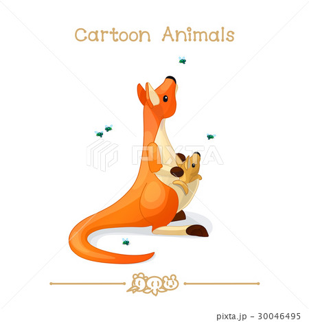 Red kangaroo 30046495