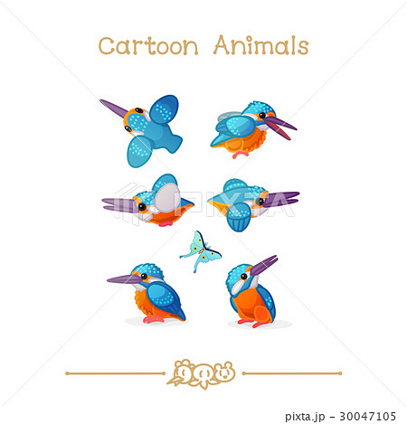 Kingfisher & butterfly Kingfisher & butterfly 30047105