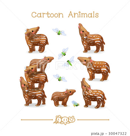 Little tapirs & cicadas 30047322