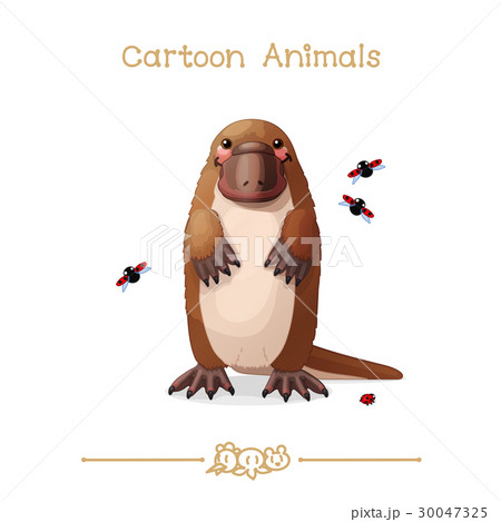 Platypus & ladybugs Platypus & ladybugs 30047325