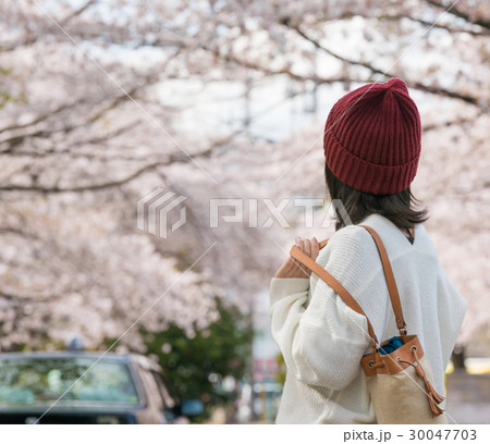 花見 花見 30047703