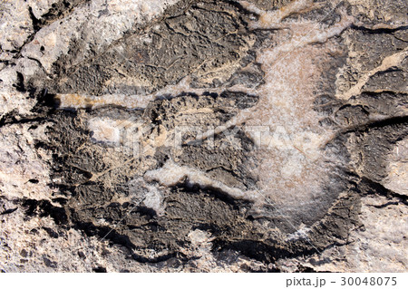 The natural formation of sea salt The natural formation of sea salt 30048075