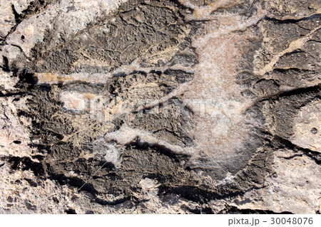 The natural formation of sea salt 30048076