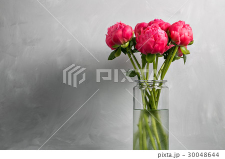 Bouquet of fresh coral peony flowers in glass vase 30048644