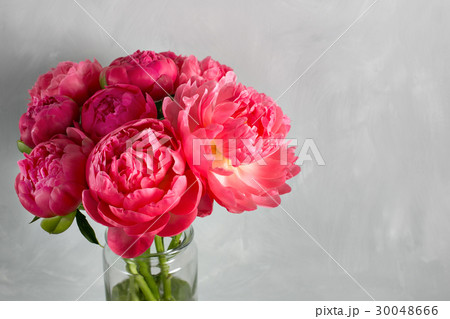 Bouquet of fresh coral peony flowers in glass vase 30048666