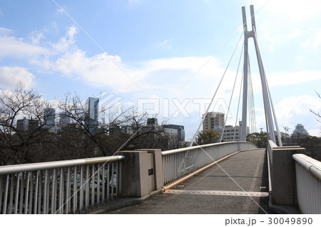 大川にかかる川崎橋 大川にかかる川崎橋 30049890