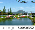 高崎山と鯉のぼり　 30050352