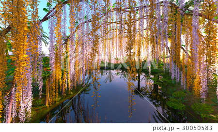 藤棚と池のある庭  30050583