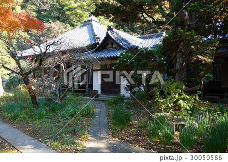 寶生寺 30050586